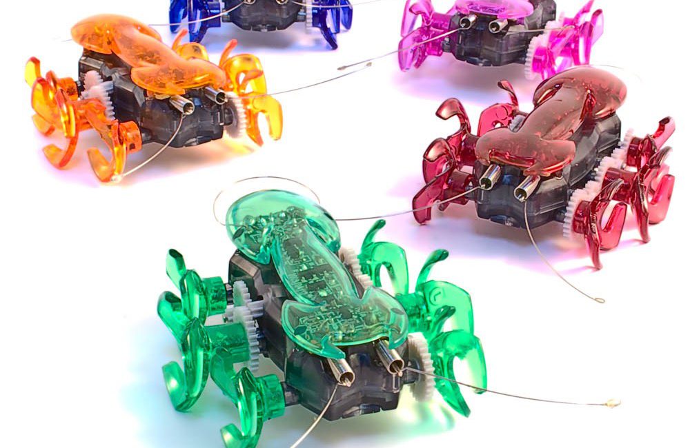 hex_bugs_1000px1000×650